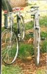 uganda bicycles